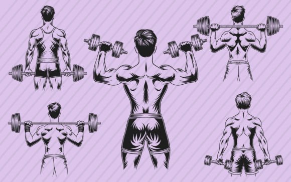 Download Gym Fitness Vector Illustration Graphics - Fitness Collection